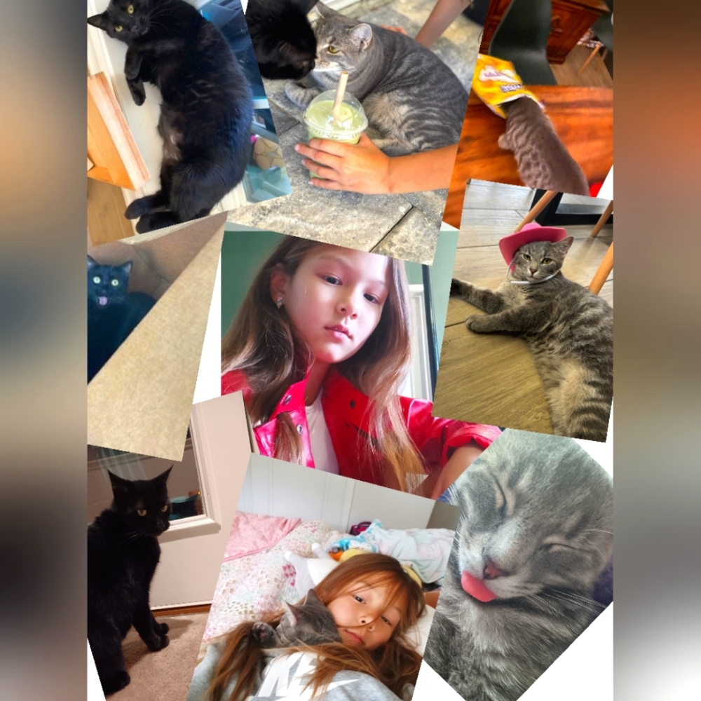 Meet your Posher, Ellie